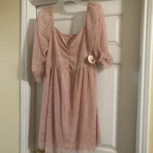 Tullabee Dusty Pink Dress New With Tags Xl With Sheer Material - Picture 1 of 16