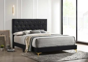 Kendall Upholstered Queen Panel Bed Black and Gold - Picture 1 of 7