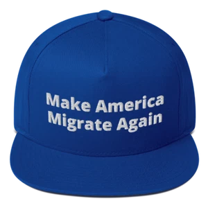 MAKE AMERICA MIGRATE AGAIN Embroidered Blue Hat Democrat President Campaign Cap - Picture 1 of 1