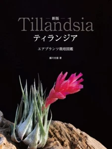 Tillandsia Air Plants Cultivation Guide New Edition Aqua Life Book Japanese - Picture 1 of 6