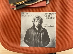 Peter Hofmann - The House Of The Rising Sun / 7" Single Vinyl Sch - Bild 1 von 1
