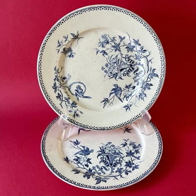 2 assiettes anciennes Creil & Montereau perruche faïence Terre de Fer - Photo 1/4