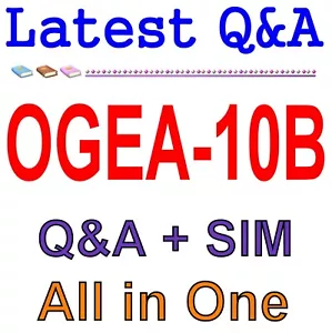 OGEA-10B Enterprise Architecture Bridge Exam Q&A - Picture 1 of 1