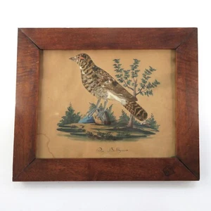 German Watercolor Bird Feather Painting "Die Birkhenne" Framed Antique - Picture 1 of 10