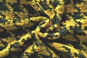 HONEY GOLD & BLACK BOLD DOG TOOTH WOOL CASHMERE BLEND KNIT MADE IN ITALY D267A - Picture 1 of 12