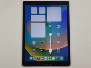 Apple iPad Pro 1st Gen. (A1652) 256GB, Wi-Fi + 4G (Unlocked) 12.9" - SMALL ISSUE - Picture 1 of 12
