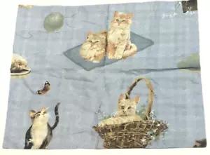 Cuscino gatto finta misura 24,5" x 30" blu verde plaid schiena inutilizzato PDK in tutto il mondo - Foto 1 di 8
