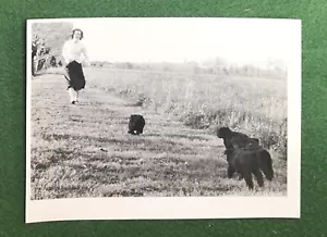vintage B&W photo woman chasing dogs country model and photographer unknown - Picture 1 of 2