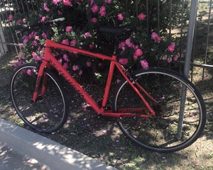 Specialized Flat Bar 700C Bikes for 