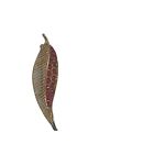 Vintage Red Rhinestone Goldtone Leaf Brooch