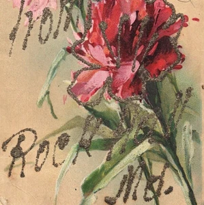 c.1907 Floral Glitter Greetings From Rock Hall Maryland Postcard Kent County - Imagen 1 de 3