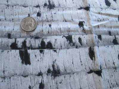 Hoffman California Cotton Fabrics - Still of the Night - Birch Trees - 1 1/2 Yd. - Image 1 of 4