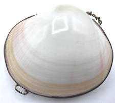 Sea Shell Trinket Box Pill Hinged 2.75" Nautical Ocean Jewelry