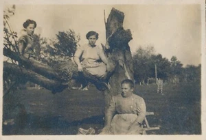 Schnappschuss Vintage Foto Frauen Damen im Baumstumpf lässig seltsam Outdoor Hattie - Bild 1 von 6