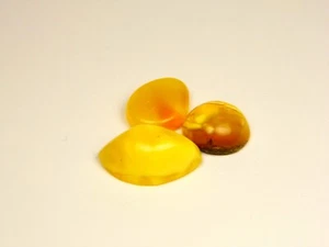 Lot of 3 Baltic Amber Cabochon Stones Yellow Butterscotch Egg Yolk Natural 6711 - Picture 1 of 5