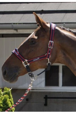 John Whitaker Airflow Waffel Kopfband Set