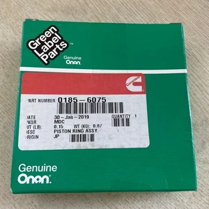 Genuine OEM Onan 185-6075 Piston Ring Assembly - Foto 1 di 1