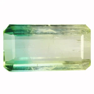 2,56Ct Awesome Octagan 11,1X6,1 MM Bi Color Mosambik Natural Bi Col Turmalin - Bild 1 von 5
