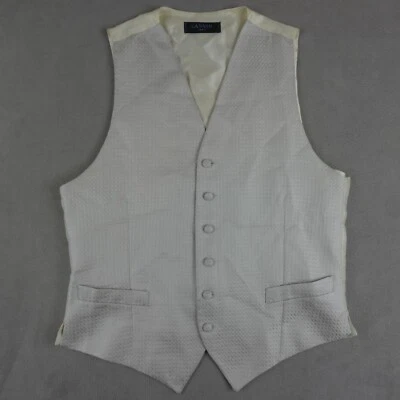 Chaleco Lanvin Para Hombres 48 Gris Marfil Seda Francia Boda Negro Corbata Traje Chaleco Foto 1 de 4