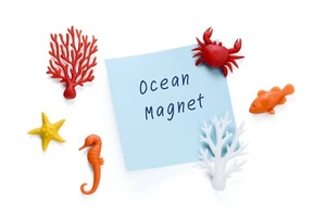 OCEAN ECOLOGY MAGNETS - Picture 1 of 3