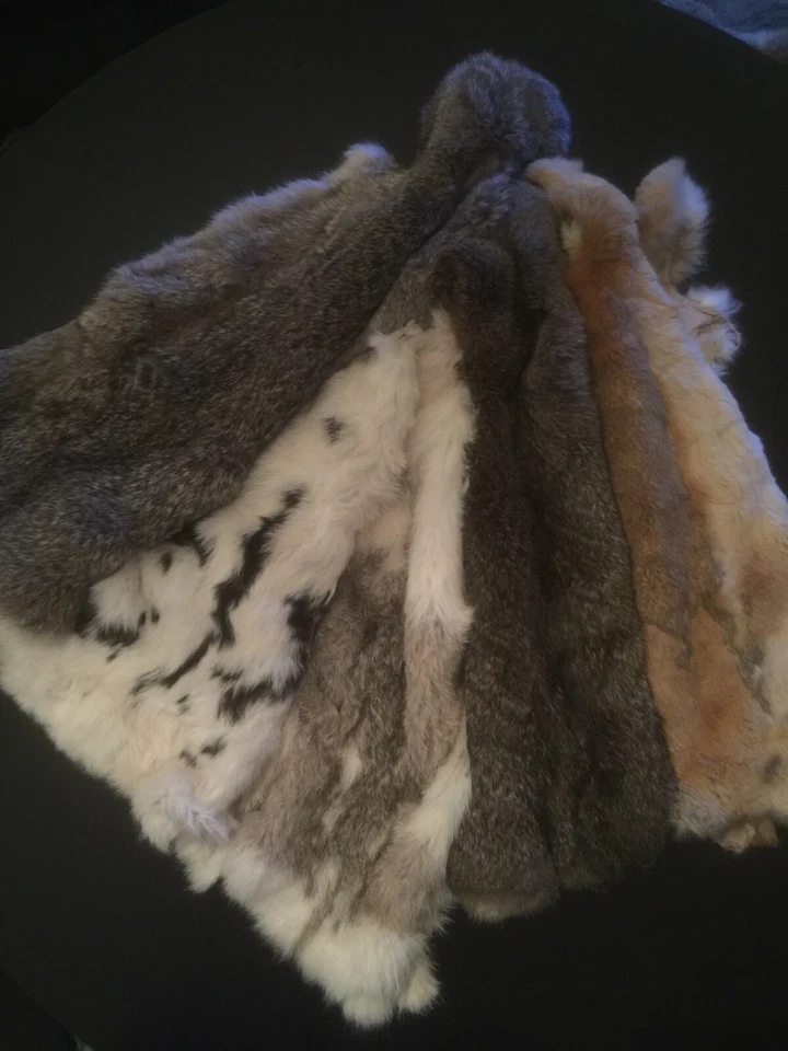 5 Stück Kaninchenfell Hasenfell - Verschiedene Farben - Neu und gegerbt - Bild 1 von 1