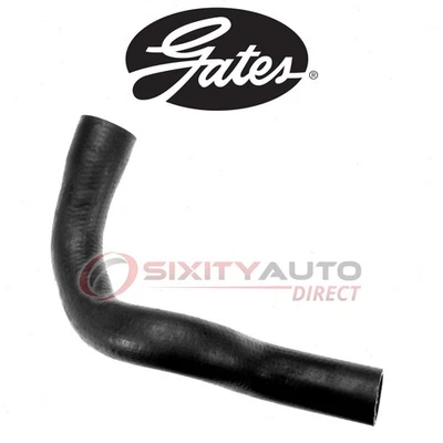 Gates Lower Radiator Coolant Hose for 1987-1991 Dodge Dakota 3.9L V6 - mr Foto 1 de 4