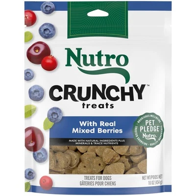Nutro Crunchy Dog Treats with Real Mixed Berries, 16 oz. Bag Foto 1 de 4