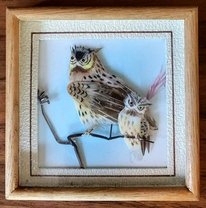 Vintage MCM 3D Eulen Federn Papier Basteln Schattenkasten Wandbild Deko Handarbeit - Bild 1 von 8