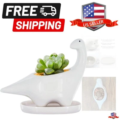 Maceta suculenta cerámica dinosaurio blanco maceta maceta ventana caja con... Foto 1 de 4