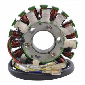 SEM Direct Replacement Stator Husaberg 99-03, Husvarna & Vertimati (some models) - Picture 1 of 8