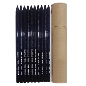 10pcs Non-wood Black Charcoal Student Artist Sketch Drawing Pencils Assorted Set - Picture 1 of 8