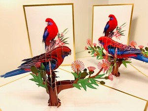 Origami Pop Cards LUXURY Merry Christmas Australia Crimson Rosella Greeting Card