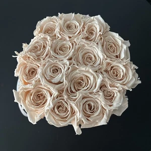 #Venus et Fleur große Schachtel Rouge Rosen ~ schönes Blumenkastengesteck - Bild 1 von 7