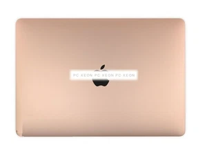 Bildschirm Komplette Apple Macbook Air A2179 13'' Early 2020 Gold 661-15391 - Bild 1 von 3
