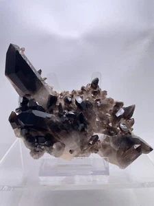 Rauchquarz ( behandelt ) xx USA xx Smoky Quartz Mineral Cluster Specime xx USA - Picture 1 of 14