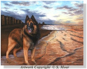 Belgischer Schäferhund Tervuren Hund Nordbelgien Meer Ozean limitierte Auflage Kunstdruck - Bild 1 von 1