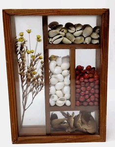 VTG Wood Shadow Box Dried Seeds Beans Shells Framed Kitchen Decor Cottage Granny - Picture 1 of 12