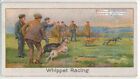 Whippet Straight Racing Dogs 1920s Trade Ad Card