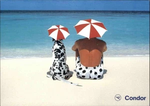 Motivkarte Postkarte der CONDOR Fluggesellschaft Airline Hund am Strand Urlaub - Picture 1 of 2