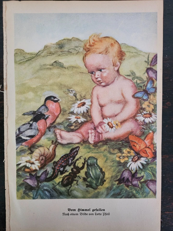 Lotte Pfeil Kunstblatt Grafik Kunstdruck Gemälde Bild Vom Himmel gefallen - Bild 1 von 1