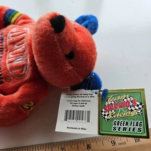 JEFF GORDON DuPont NASCAR Carreras Salvino Juguete de Peluche Bolsa de Frijoles Oso de Peluche - Imagen 1 de 3