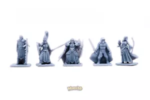 Heroes - Crussader, Ruffian, High Elf, Knight, Druid - HQ- Minis3D - Picture 1 of 22