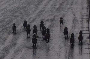 HIALEAH Race Track 1966 | *KAUAI KING* 16mm Movie Reel Horse Race Ford Stables - Picture 1 of 4