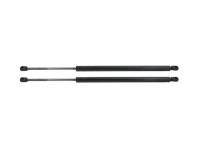 For 2002-2006 Chevrolet Trailblazer EXT Tailgate Lift Support Kit 62914RZQF 2005 - Image 1 of 2