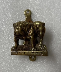 Antique/Vintage Small Brass Bulldog Door Knocker Without Screws English Bulldog - Picture 1 of 10