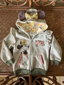 Disney Minnie Mouse Girl’s Full Zip Hooded Sweatshirt with Ears Gray size 4T - Picture 1 of 13