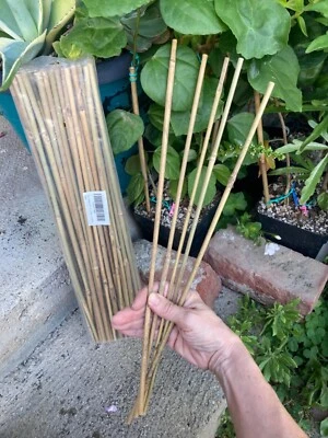 50 PIEZAS Estacas para Plantas, 16 Pulgadas Estaca de Bambú Natural 16"L x 0.25"W Foto 1 de 4