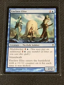 Magic the Gathering Conspiracy Enclave Elite - Picture 1 of 2