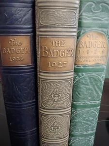 UW WISCONSIN THE BADGER YEARBOOK 1926📣 ORIGINAL UNIVERSITY COLLEGE BLUE HC - Picture 1 of 19