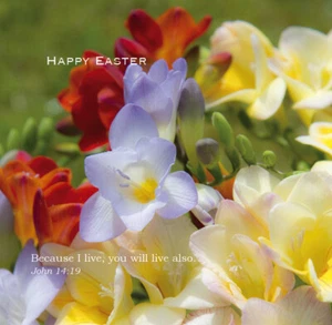 Tarjeta de Pascua de flores de jardín con texto bíblico Juan 14:19 - EB8774ee - Imagen 1 de 1